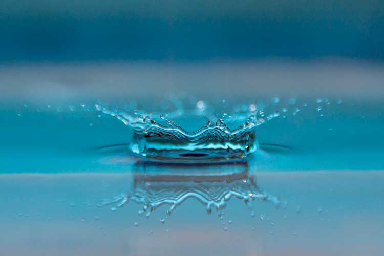 Fontaneros en Bilbao: cómo detectar fugas de agua